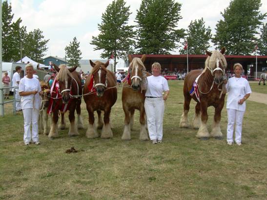 Samling efter Duxia